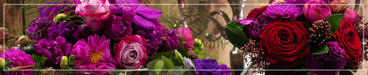 terms and conditions mermaid florist